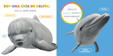 Laden Sie das Bild in den Galerie-Viewer, Das Prinzip der Kinder: Delfin-Babys
