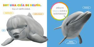 El principio de los: delfínes bebés