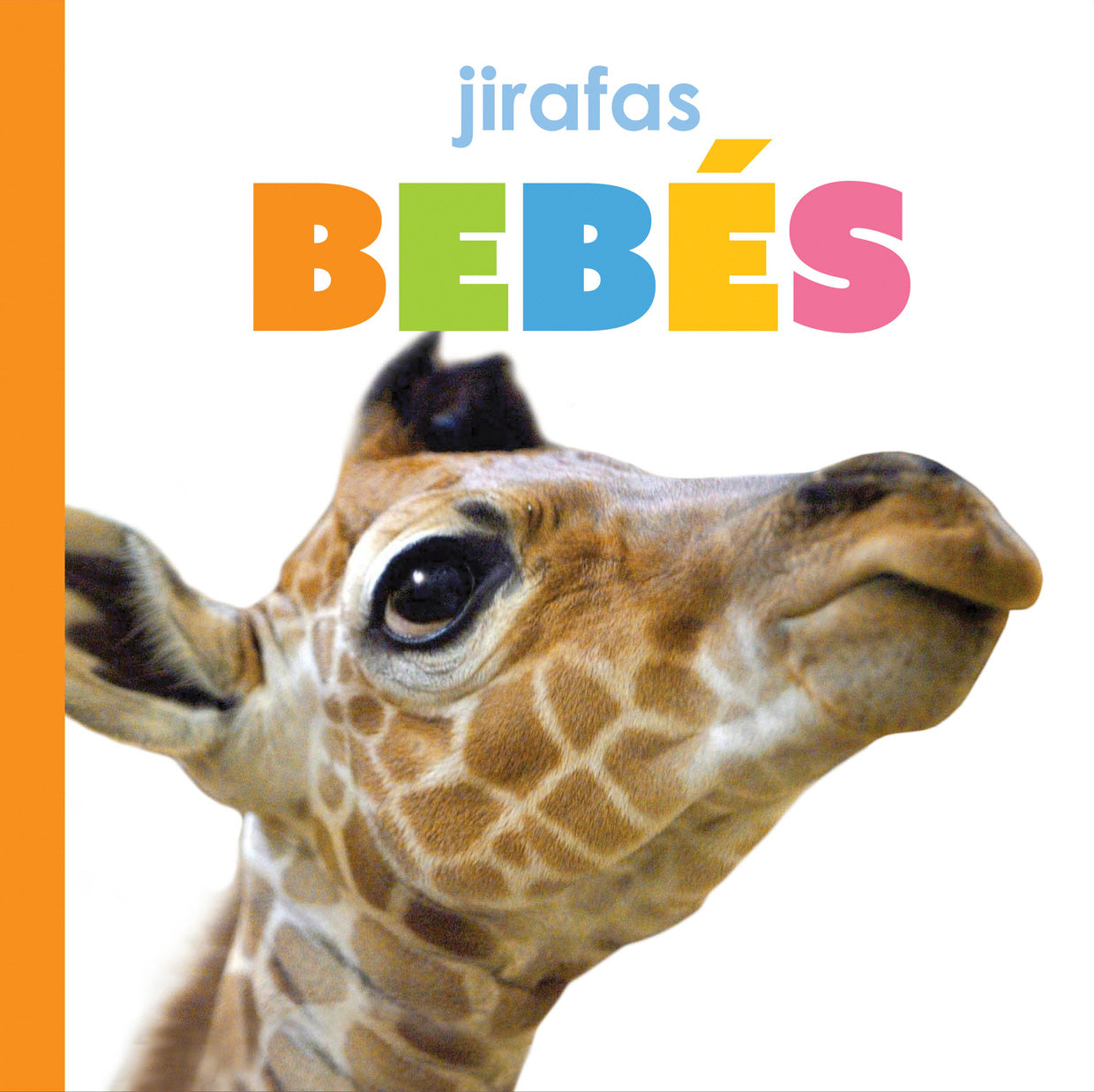 El principio de los: jirafas bebés