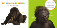 Laden Sie das Bild in den Galerie-Viewer, Das Prinzip der Kinder: Gorilas Babys
