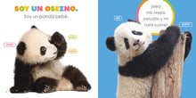 Laden Sie das Bild in den Galerie-Viewer, Das Prinzip der Kinder: Pandas

