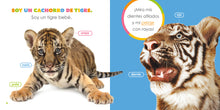 Laden Sie das Bild in den Galerie-Viewer, Das Prinzip der Kinder: Tigerbabys
