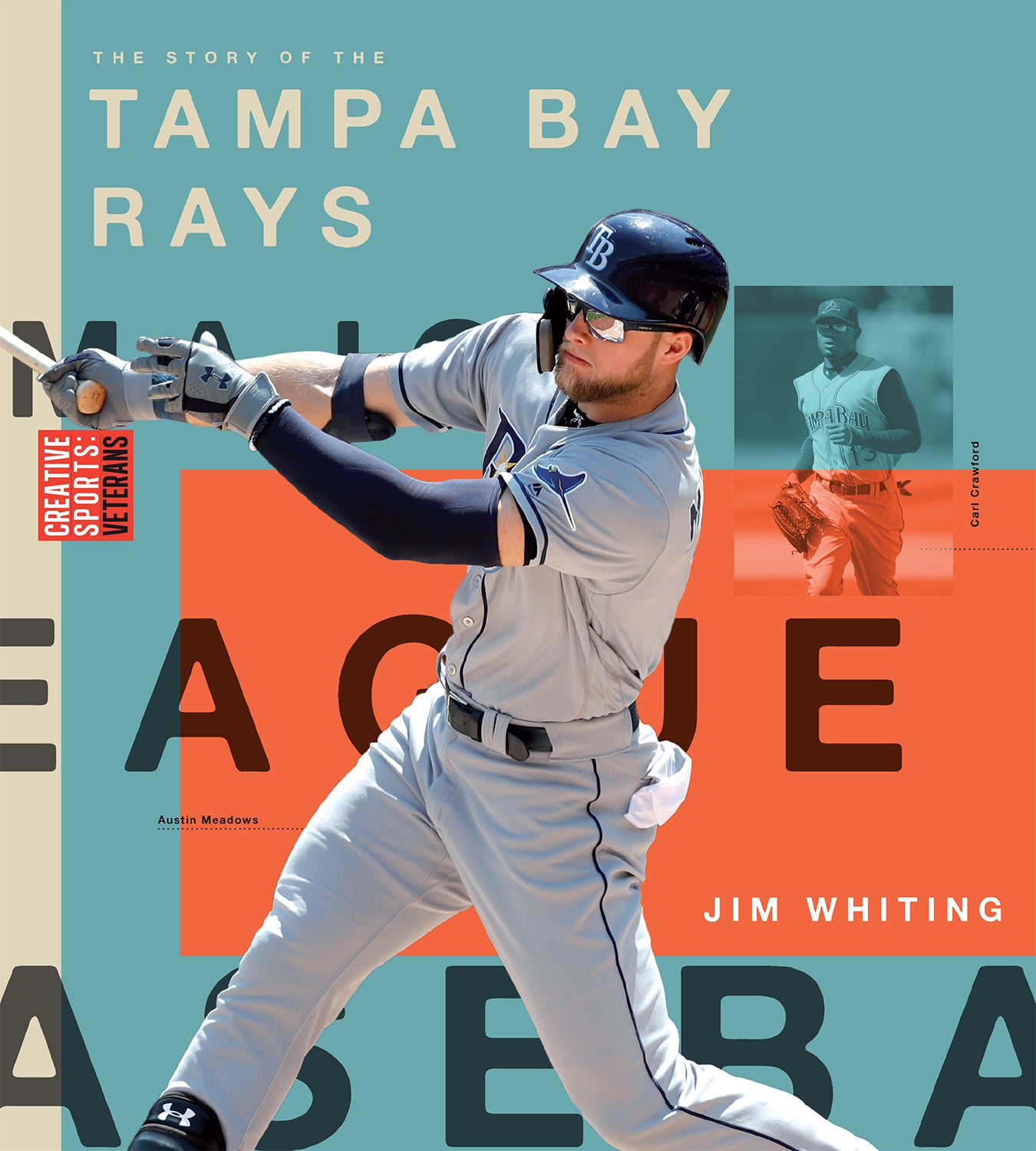 Tampa Bay Rays [Book]