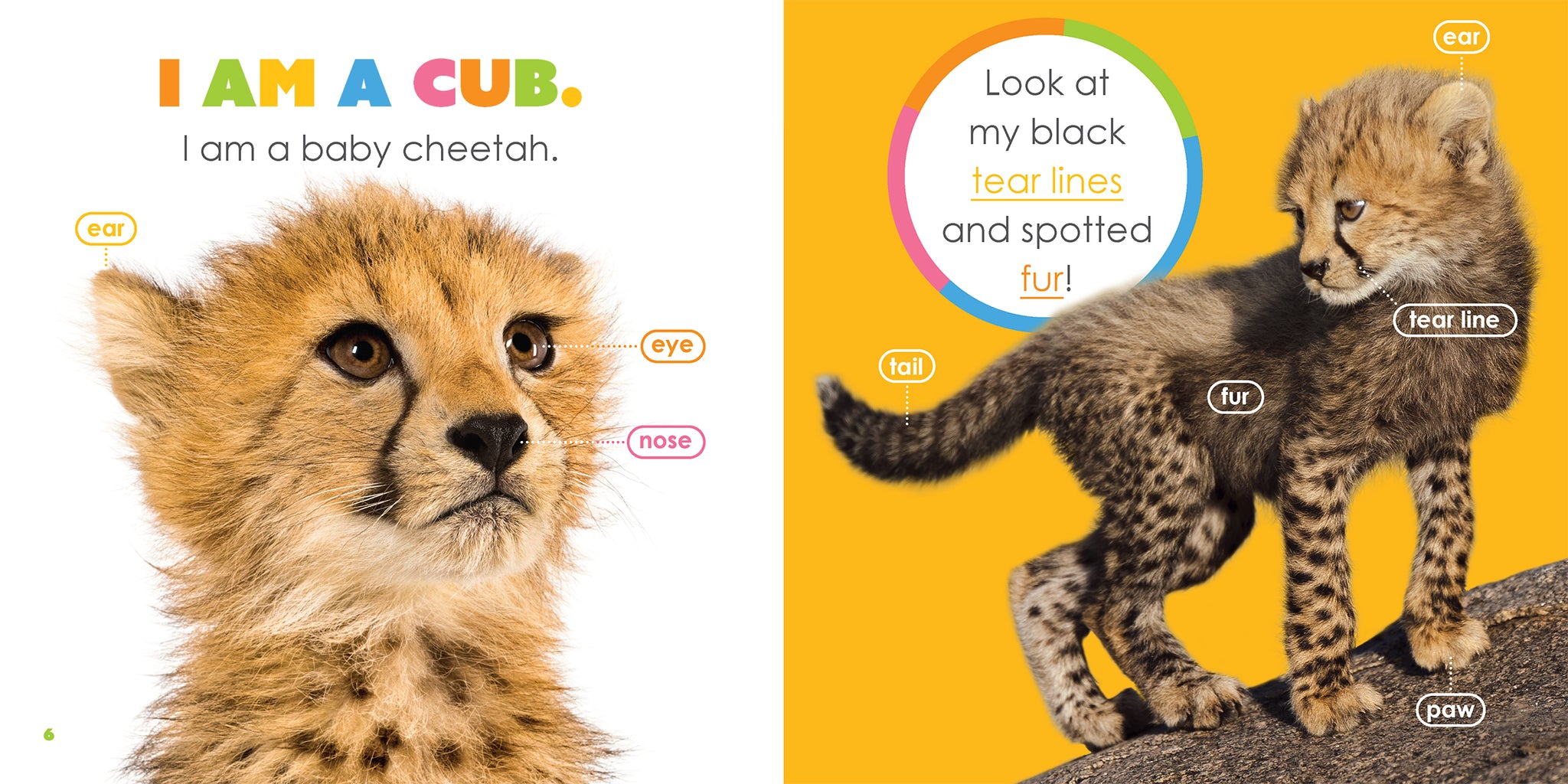 Baby cheetah orders women's classics