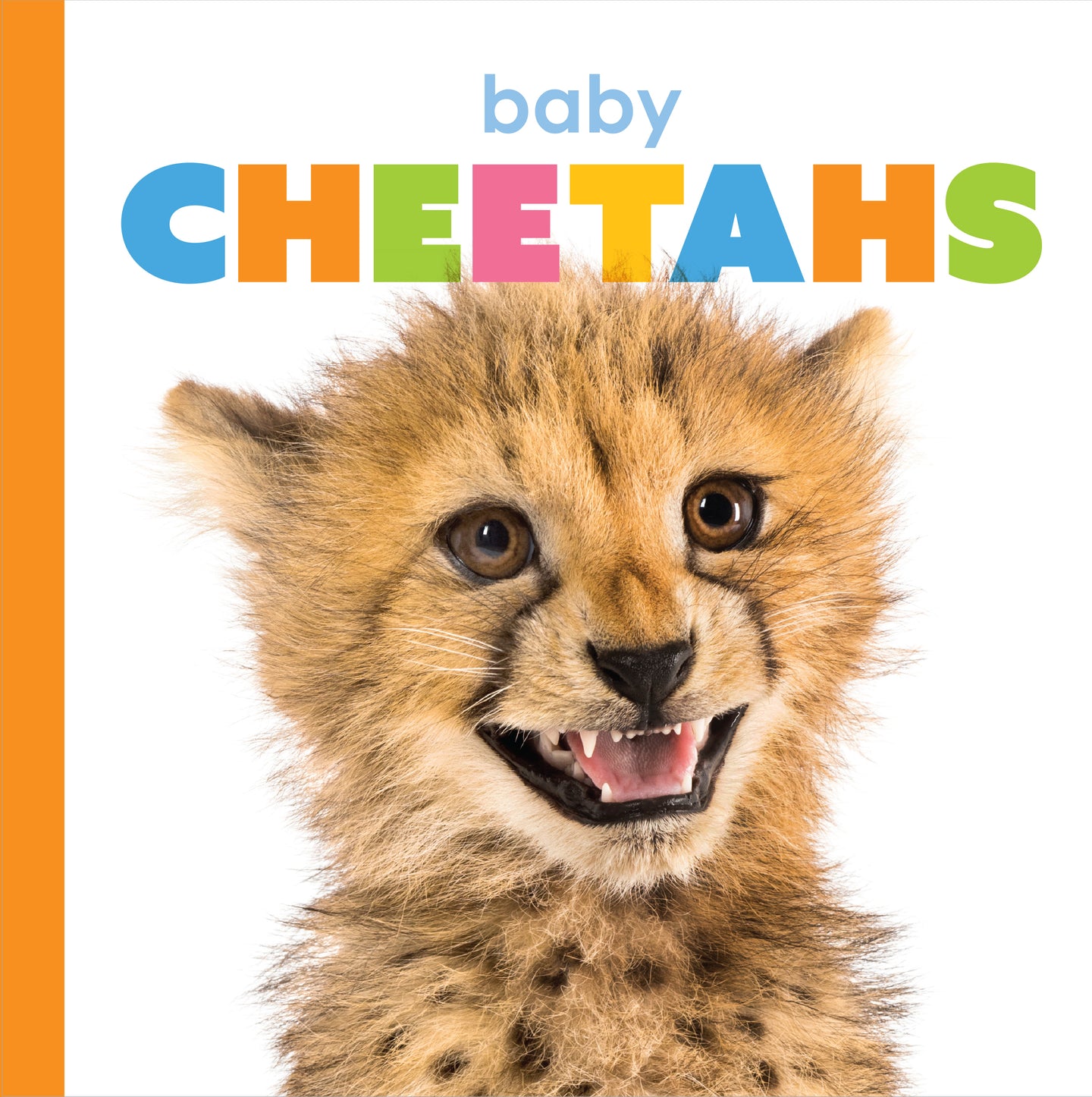 Starting Out: Baby Cheetahs