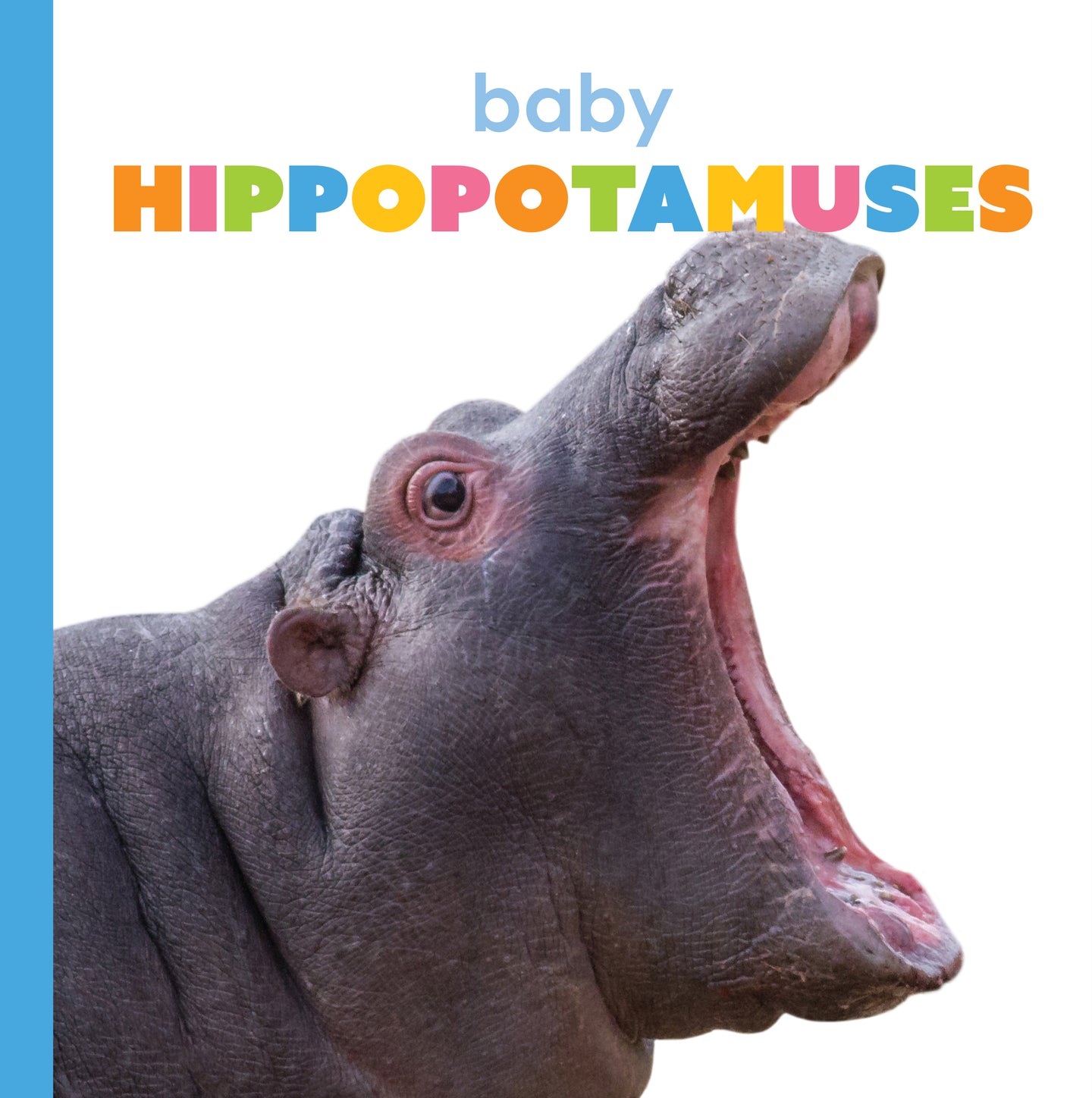 Starting Out: Baby Hippopotamuses