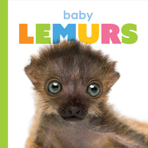 Starting Out: Baby Lemurs