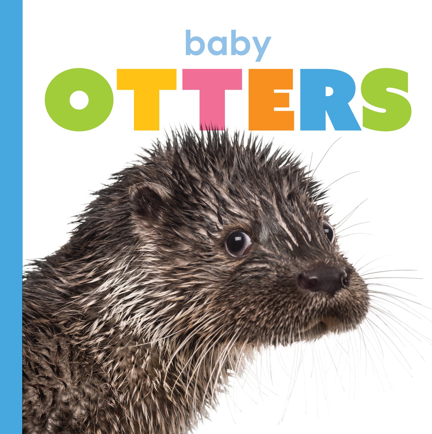 Starting Out: Baby Otters