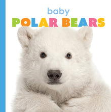 Laden Sie das Bild in den Galerie-Viewer, Der Anfang: Baby-Eisbären
