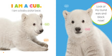 Laden Sie das Bild in den Galerie-Viewer, Der Anfang: Baby-Eisbären
