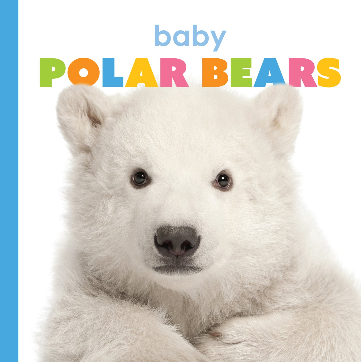 Der Anfang: Baby-Eisbären