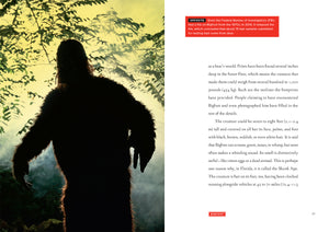 Odysseys in Mysteries: Bigfoot