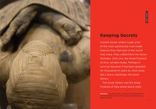 Laden Sie das Bild in den Galerie-Viewer, Odysseeen in Mysterien: Große Sphinx
