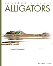 Laden Sie das Bild in den Galerie-Viewer, Erstaunliche Tiere (2022): Alligatoren
