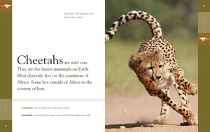 Amazing Animals (2022): Cheetahs
