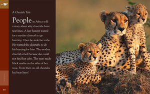 Amazing Animals (2022): Cheetahs