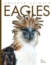 Laden Sie das Bild in den Galerie-Viewer, Erstaunliche Tiere (2022): Adler
