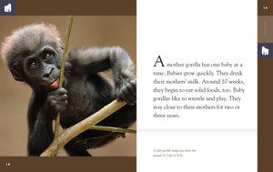 Erstaunliche Tiere (2022): Gorillas