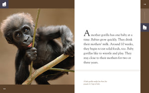 Amazing Animals (2022): Gorillas