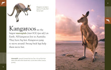 Laden Sie das Bild in den Galerie-Viewer, Erstaunliche Tiere (2022): Kängurus
