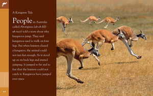 Amazing Animals (2014): Kangaroos