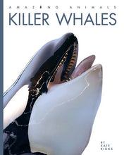 Laden Sie das Bild in den Galerie-Viewer, Erstaunliche Tiere (2022): Killerwale
