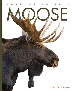 Amazing Animals (2022): Moose