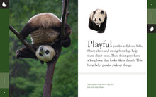 Laden Sie das Bild in den Galerie-Viewer, Erstaunliche Tiere (2022): Pandas
