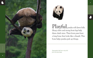 Erstaunliche Tiere (2022): Pandas