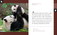 Laden Sie das Bild in den Galerie-Viewer, Erstaunliche Tiere (2022): Pandas
