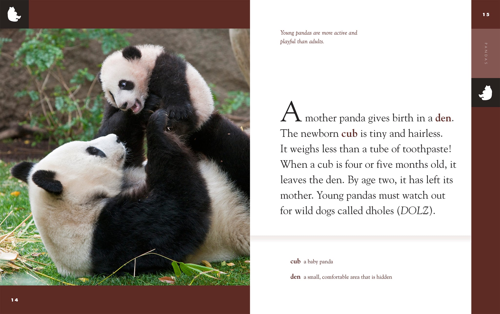 Pandas – The Creative Company