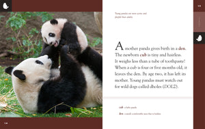 Erstaunliche Tiere (2022): Pandas