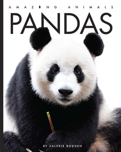Amazing Animals (2022): Pandas