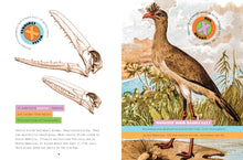 Laden Sie das Bild in den Galerie-Viewer, X-Books: Ice Age Creatures: Monster Birds
