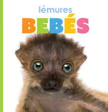 Laden Sie das Bild in den Galerie-Viewer, Das Prinzip der Kinder: Lemurenbabys
