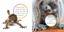 Laden Sie das Bild in den Galerie-Viewer, Das Prinzip der Kinder: Lemurenbabys
