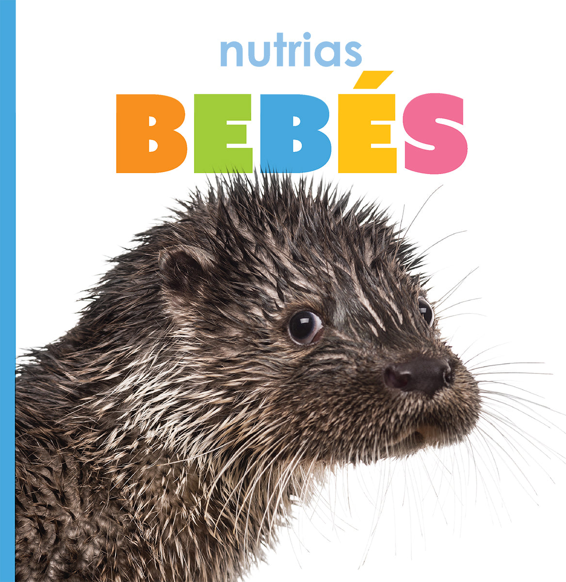  Alfombrilla de ratón - Otter Nutria-Bebé Nutria Bebé Naturaleza  : Productos de Oficina