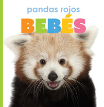 Laden Sie das Bild in den Galerie-Viewer, Das Prinzip der Kinder: Pandas, rote Babys
