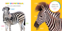 Laden Sie das Bild in den Galerie-Viewer, Das Prinzip der Kinder: Zebras
