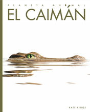 Laden Sie das Bild in den Galerie-Viewer, Planeta-Tier (2022): El caimán
