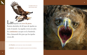 Planeta animal (2022): El águila