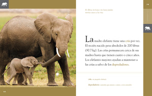 Planeta-Tier (2022): El elefante