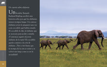 Laden Sie das Bild in den Galerie-Viewer, Planeta-Tier (2022): El elefante
