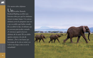 Planeta animal (2022): El elefante