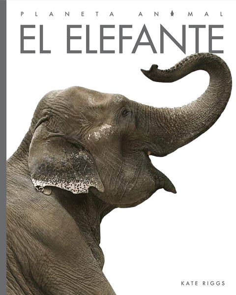 The White Elephant. A Unique and Endangered Species, by Nedelcu Alina, Exploring the world