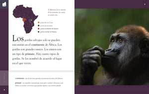 Planeta animal (2022): El gorila