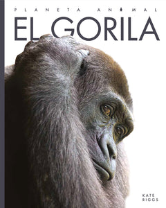 Planeta animal (2022): El gorila