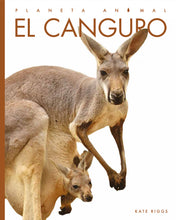 Laden Sie das Bild in den Galerie-Viewer, Planeta-Tier (2022): El canguro
