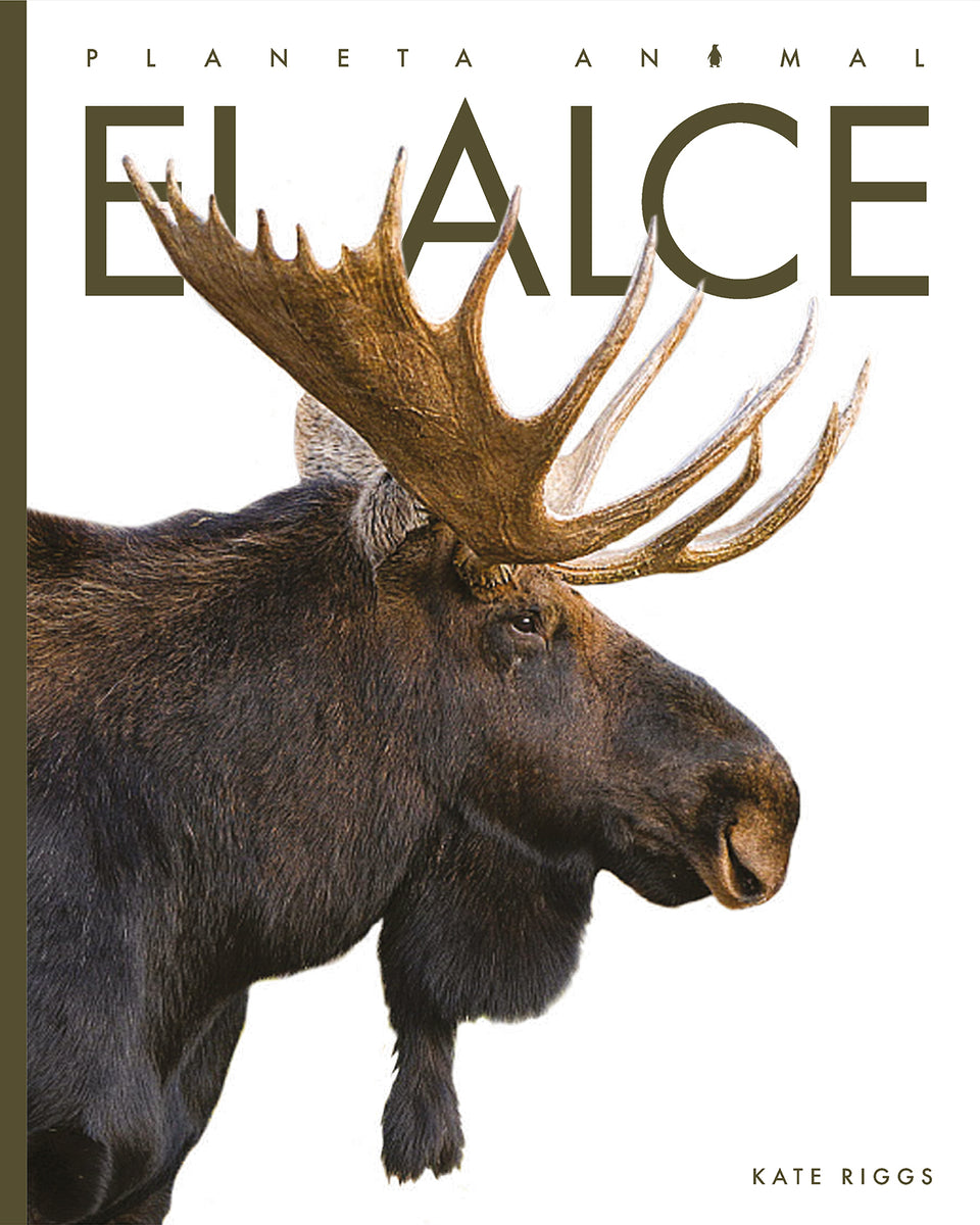 Alce Constructor El alce – The Creative Company