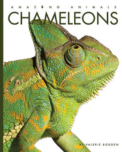 Laden Sie das Bild in den Galerie-Viewer, Erstaunliche Tiere (2022): Chamäleons
